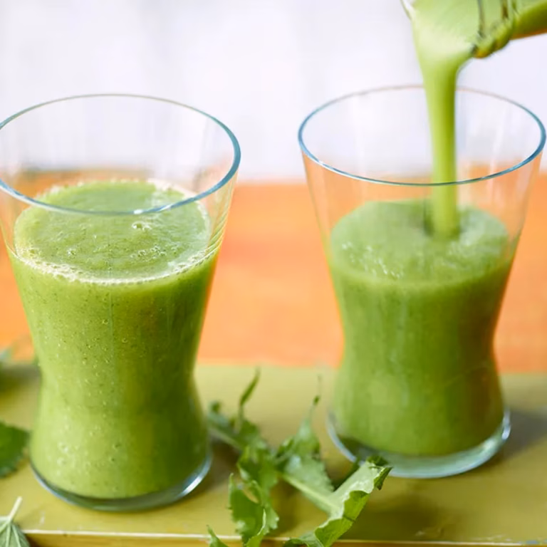Zielone smoothie z dzikimi ziołami