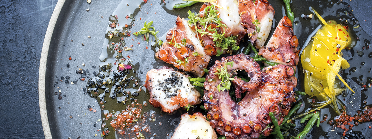 1440x495Oktopusarme_Header_Rezepte.png